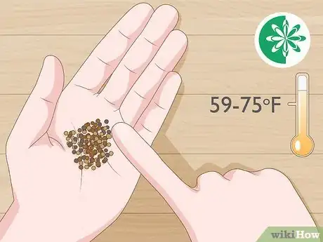 Image titled Grow Tatsoi Step 1