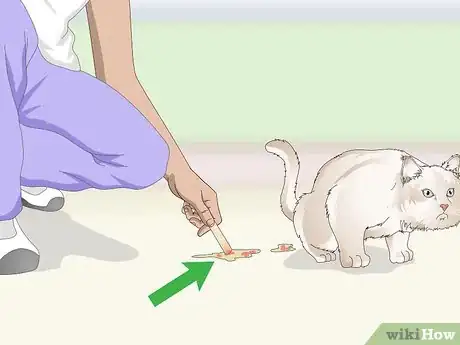 Image titled Prevent Stones in Cats Step 8