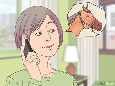 Image titled Choose Your Horse Step 12