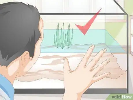 Image titled Do a Water Change in a Freshwater Aquarium Step 9