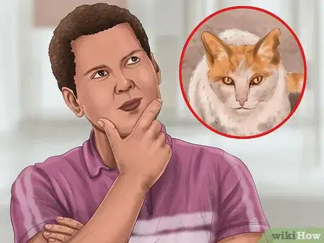 Image titled Pick a Healthy Adult Cat Step 17