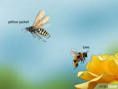 Image titled Get Rid of Yellow Jackets in the Ground Step 11