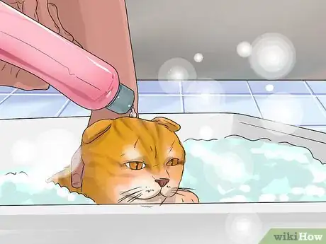 Image titled Help Your Cat Enjoy Having a Bath Step 8