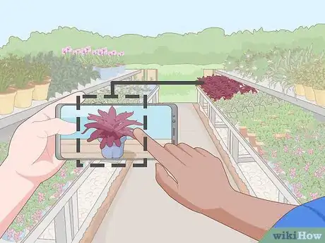 Image titled Identify a Houseplant Step 9