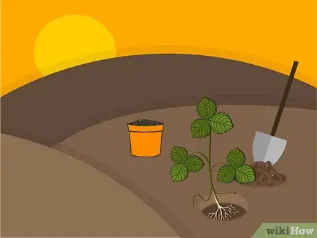 Image titled Grow Strawberries Step 09