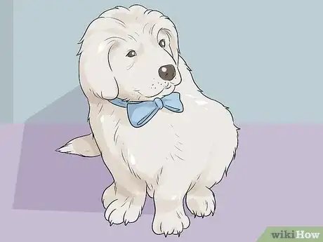 Image titled Dress Your Dog Step 11