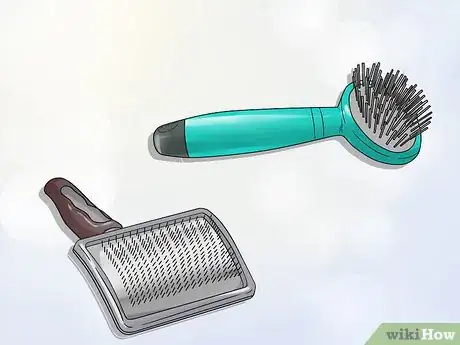 Image titled Groom a Thin Furred Dog Step 1