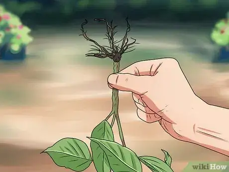 Image titled Plant Step 5