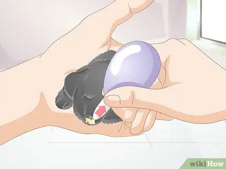 Image titled Keep Orphaned Newborn Puppies Clean Step 3