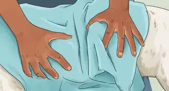 Do a Town and Country Poodle Cut