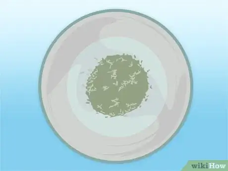 Image titled Propagate Azaleas Step 31