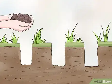 Image titled Plant Wildflowers Step 7