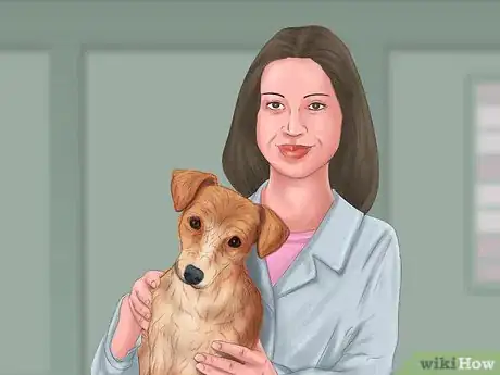 Image titled Pick a Healthy Adult Dog Step 10