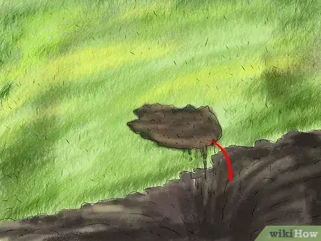 Image titled Explore the Archaeology of Your Backyard Step 13