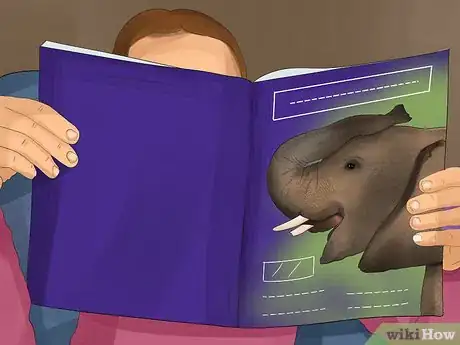 Image titled Help Save Elephants Step 11