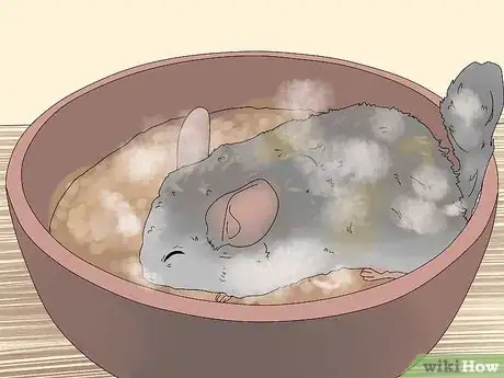 Image titled Manage Fur Slip in Chinchillas Step 5