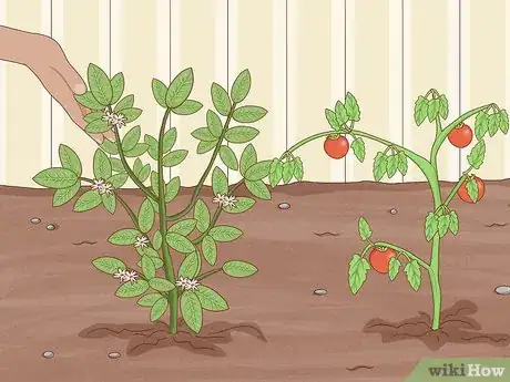 Image titled Buy Fertilizer Step 2