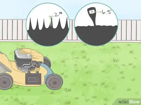 Image titled Get Rid of Ground Ivy Step 11