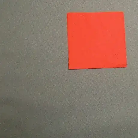 Image titled Nf10_98.JPG