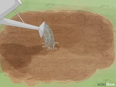 Image titled Grow Tatsoi Step 6