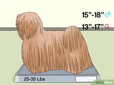 Image titled Identify a Puli Step 2