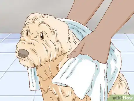 Image titled Groom a Wheaten Terrier Step 16