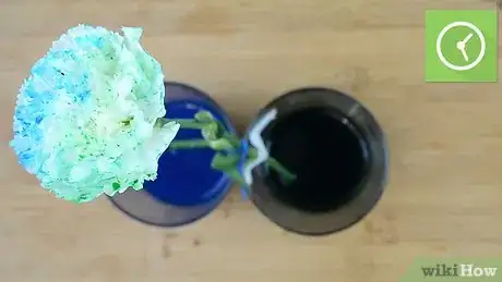 Image titled Dye Carnations Step 12