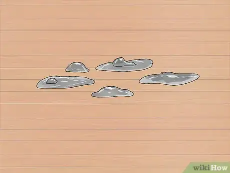 Image titled Choose a Lory or Lorikeet Step 8