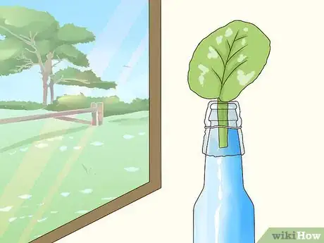 Image titled Grow African Violets Step 1