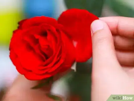 Image titled Sugar Flowers Step 1