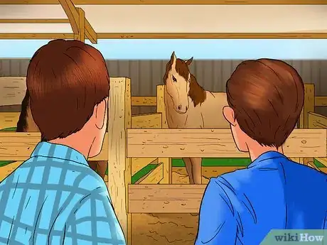 Image titled Buy a Trail Horse Step 10