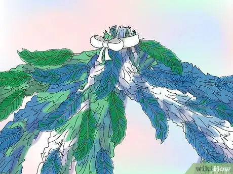 Image titled Make Gertrude Mcfuzz's Huge Tail in the Seussical Step 3