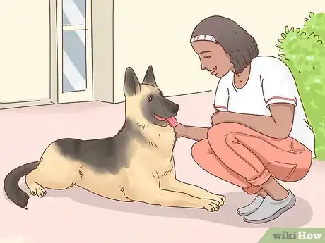 Image titled Adopt a German Shepherd Step 2