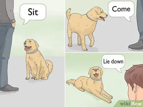 Image titled Teach a Dog to Bow Step 4