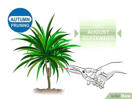 Image titled Prune Dracaena Step 02