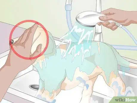 Image titled Shower a Puppy Step 11