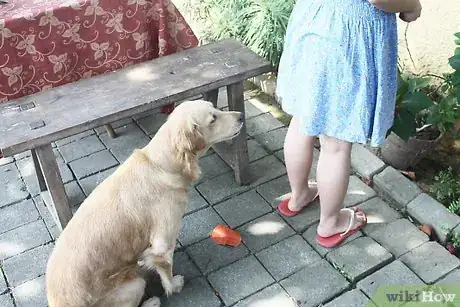 Image titled Lead Train a Dog or Puppy Step 6