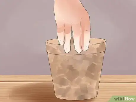 Image titled Grow Chickpeas Step 2