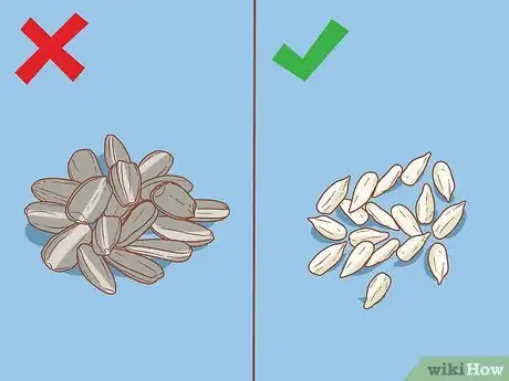 Image titled Care for Syrian Hamsters Step 12