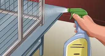 Treat Bumblefoot in Cockatoos