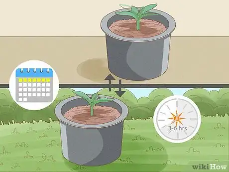 Image titled Grow Bottle Gourds Step 5