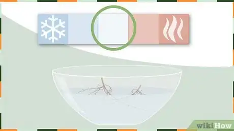 Image titled Plant Lily of the Valley Step 2