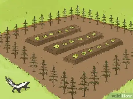 Image titled Discourage Skunks in Your Garden Step 3