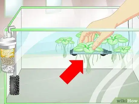 Image titled Provide a Protective Breeding Environment for Betta Fish Step 4