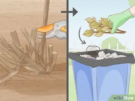 Image titled Harvest Blackberries Step 10