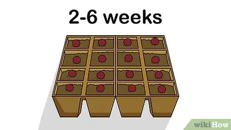 Image titled Grow Golden Barrel Cactus Step 5