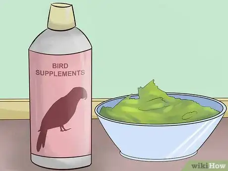 Image titled Feed a Red Bellied Parrot Step 6