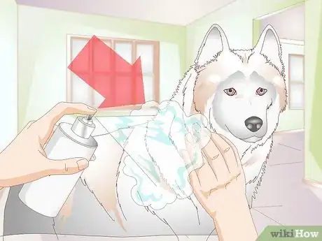 Image titled Shower a Puppy Step 14