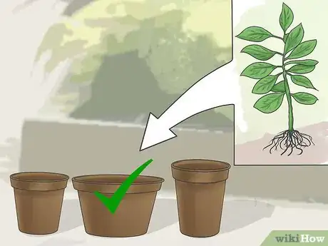 Image titled Bring Plants Indoors over Winter Step 3