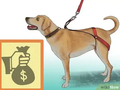 Image titled Buy Dog Training Collars Step 8